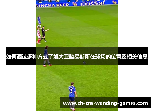 如何通过多种方式了解大卫路易斯所在球场的位置及相关信息 如何通过多种方式了解大卫路易斯所在球场的位置及相关信息