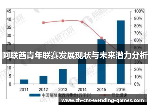 阿联酋青年联赛发展现状与未来潜力分析 阿联酋青年联赛发展现状与未来潜力分析