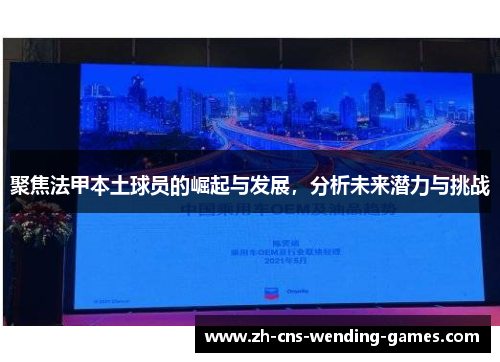 聚焦法甲本土球员的崛起与发展,分析未来潜力与挑战 聚焦法甲本土球员的崛起与发展,分析未来潜力与挑战