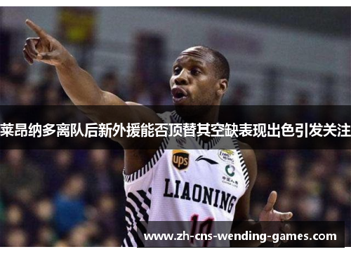 莱昂纳多离队后新外援能否顶替其空缺表现出色引发关注