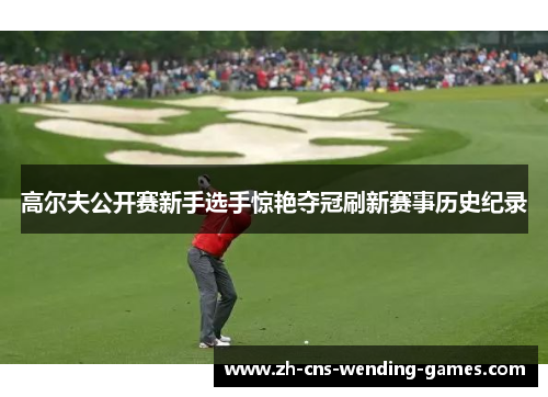 高尔夫公开赛新手选手惊艳夺冠刷新赛事历史纪录